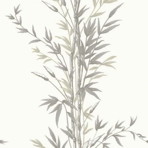 Bamboo 100-5025